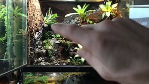 How to build a vivarium waterfall - YouTube1
