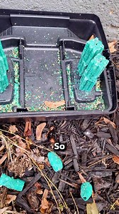 306K views · 651 reactions | Refill Your Mouse Bait Stations Safely! #pestcontrol #mouse #mice #pests | Pest Badger | Facebook