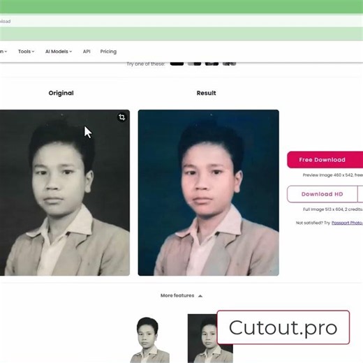 Colorizing Photo Using Cutout Pro