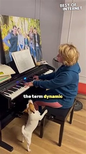Singing Jack Russell Steals the Show! Piano Duet with a Woof!