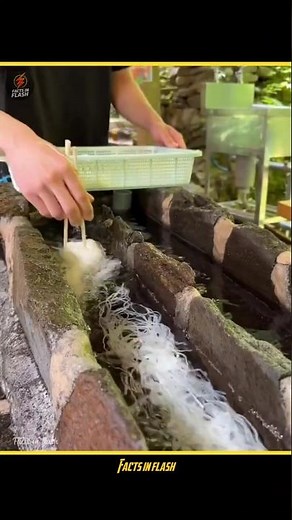 Swimming Noodles! 😳 #shorts