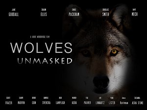 Wolves Unmasked 🐺 Wolf Documentary 2021🐺 Wolf Rewilding