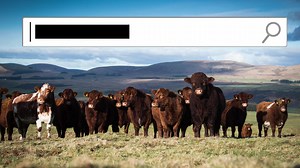 Here's what you can expect in this week's issue of The Scottish Farmer  | The Scottish Farmer | Facebook