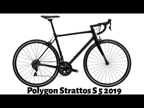 Review Polygon Strattos S5 2019
