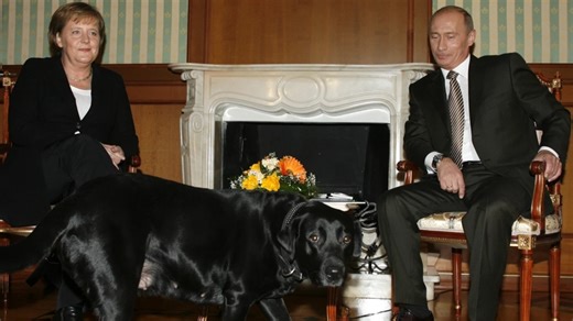 Angela, forgive me: Putin denies he tried to scare ex-German Chancellor with dog