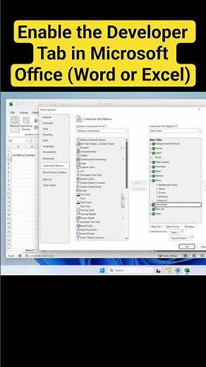 How to Enable the Developer Tab in Microsoft Office (Word or Excel)