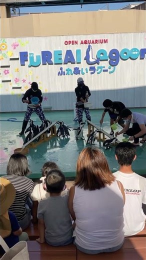 ペンギンショー⑤【シーパラ】【2022.07】