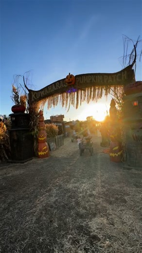 SHARE this 🎃 Kuwahara’s Pumpkin Patch & Thriller Park @kuwaharawholesale is the Utah spot for unforgettable fall photos and fun. We’ve been going for years, and every season they surprise us with new pumpkin displays, spooky streets, and the best vibes. Bring your kids, your friends, or your date — it’s always magical! PUT FUN in the comments and I will send you the link with the discount code! Weekday tip: save $4 with code UTAHFUN 🍂 📍 12153 S 700 W, Draper, UT 84020 Comment 🧡 who you’re br