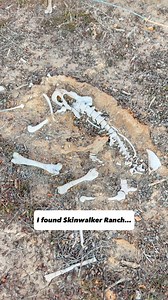 2.9K reactions · 145 shares | Season 6 of The Secret of Skinwalker...