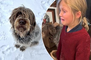 Kids burst into tears after dog eats their Elf on the Shelf