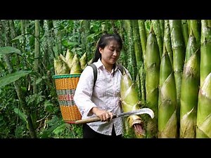 TIMELAPSE -- Days Of Harvesting Bamboo Shoots And Taking Them To The Market To Sell