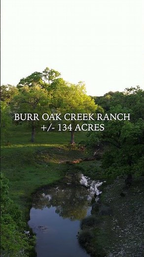Texas Ranches for Sale: Year-Round Free-Range Exotic Hunting on Axis Deer Properties