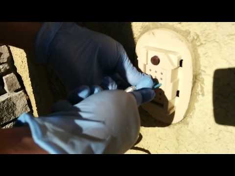 Home In Wall Pest Tubes DIY injection part 3