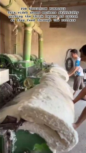 Cotton Carding Process #shorts #CottonProcessing #Factory #Satisfying #TextileIndustry #Manufacture
