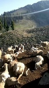 Beautiful mountains | Chattar Valley