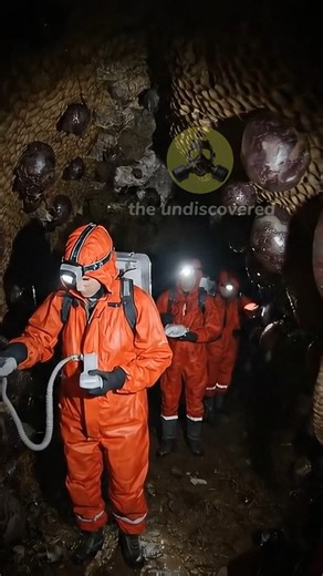 #theundiscovered #UFO #extraterrestrial #antarcticasecrets #AlienDiscovery | the undiscovered