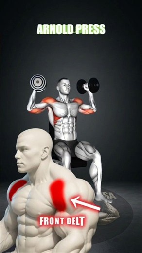 Transform Your Shoulders: 4 Best Dumbbell Exercises for Mass and Traps#ShoulderWorkout #TrapExercise