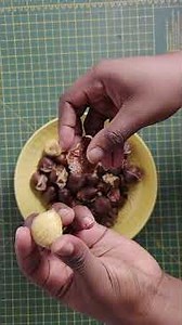 Peeling Roasted Chestnuts Is So Satisfying 🤤