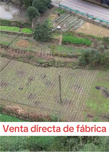 Drones para Transporte en Comunidades Rurales