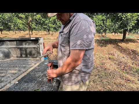 Simple life on a small farm: Repairs, checking on trees, Runner ducks