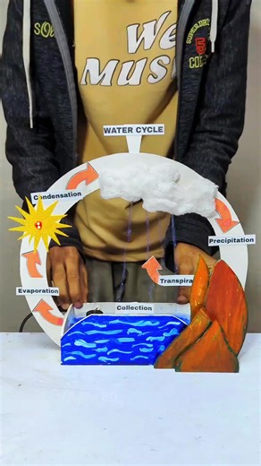 Water Cycle Model: A School Project Guide