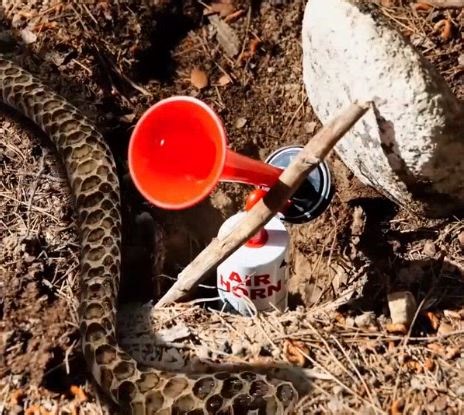 7.4M views · 17K reactions | Be prepared, not scared! Simple first aid hacks for worry-free camping! | 5-Minute Crafts | Facebook