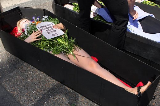 The Most Extreme and Controversial PETA Protests of All Time