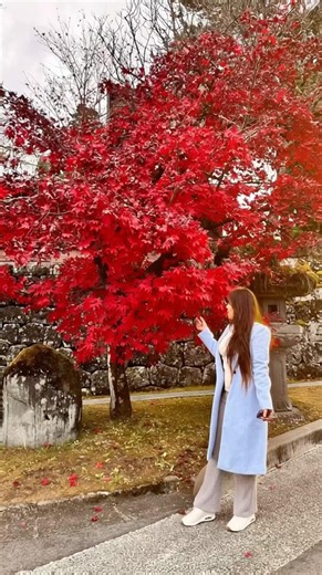 Top 5 tourist attractions in Tokyo. #shorts #viralshorts