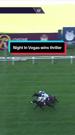 Night In Vegas wins a thriller at Ascot! #horses #horseracing #horsesoftiktok #horsesontiktok