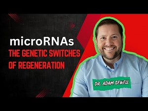MicroRNAs – The Genetic Switches of Healing | Dr. Adam Sewell, MD