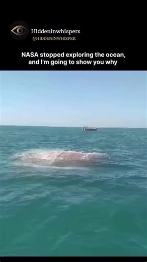 In the early 1960s, NASA was exploring the ocean… but then they suddenly stopped and shifted their focus to space and finding another home outside Earth. Why did they quit diving into the deep?\\nWhat did they find that scared them away?\\nEven now, less than 5% of the ocean has been explored. I’m here to show you the darkest, creepiest secrets hiding in the depths. Things so scary, they make space look safe.\\n\\n#ocean #OceanSecrets #DeepSeaMystery _£#explore #octopus