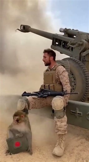 Monkey Activates Artillery Cannon While Soldier Sleeps | Leaked Footage 😱