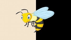 Cartoon Bee Animation