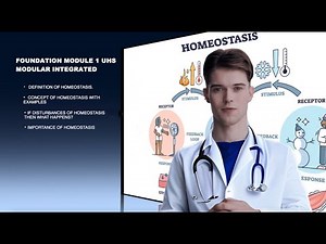 What Is Homeostasis? | Complete Concept of Homeostasis