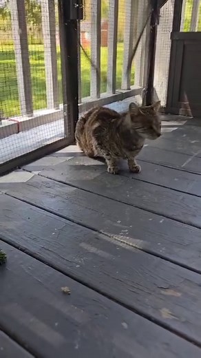 917 reactions · 213 shares | I met a person picking this girl up...