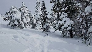 5K views · 69 reactions | On the mountain running the sleds through the paces for the Deep Powder Challenge. | SnoWest Magazine | Facebook