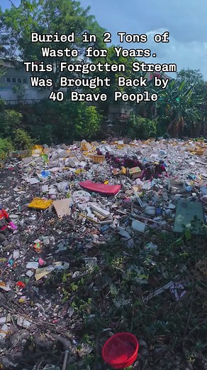 Cleaning the Ganges River: A Call to Action