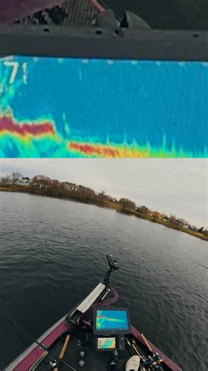 Fishing OD on Instagram: "Crazy livescope follow from this big mystery fish 👀 What is your guess on what fish this was? “Doesn’t even show the fish” ya thats the point, go watch the full video! #fishing #jerkbait #livescope #fishingdaily #fishingislife #fishingforlife #fishingaddict #catchandrelease"