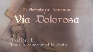 58K views · 1.3K reactions | We adore you, O Christ, and we bless you. Because by your Holy Cross you have redeemed the world. Meditate on the Stations with us - Stay tuned over the next couple days for the rest of the stations! | EWTN | Facebook