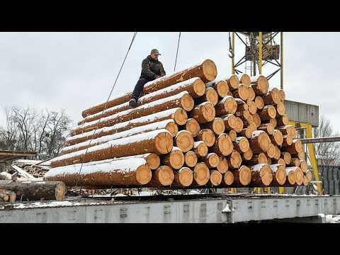 EXTREME Winter Wood Chips Production.