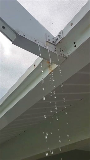 Why Aluminum Pool Cages Drip in Florida (Even Without Rain)