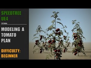 -SPEEDTREE UE4- MODELING A TOMATO PLAN
