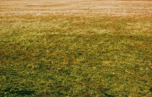 No Page Found - homeaffluence