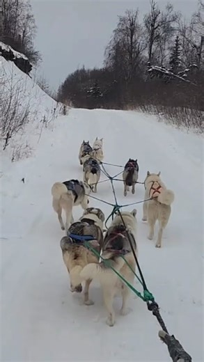 TRAINING SEASON HAS BEGUN