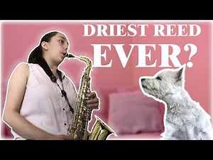 One Month Saxophone Progress