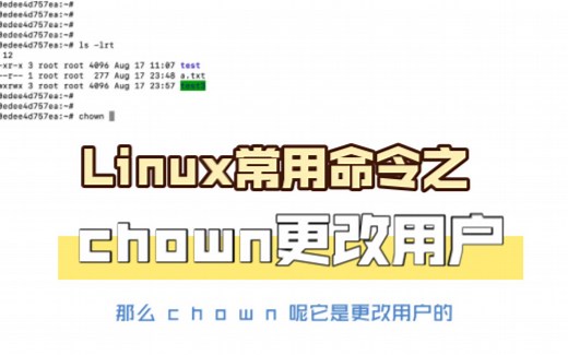 Linux常用命令之chown更改文件目录所属用户
