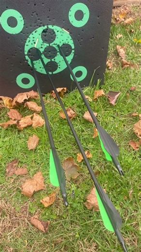 New to compound bows how do you think I did￼