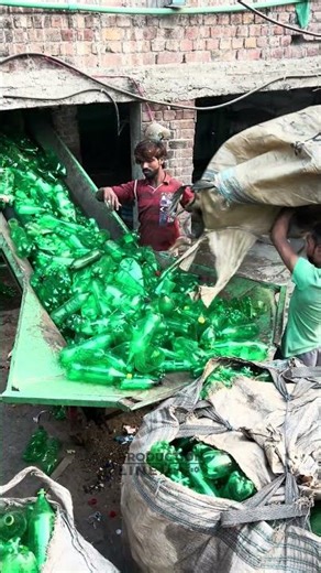 How Glass Bottles Are Recycled | Crushing Process