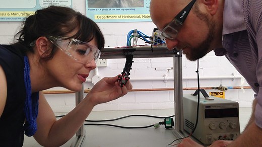 An Introduction into Biomimetics: inspiration from nature