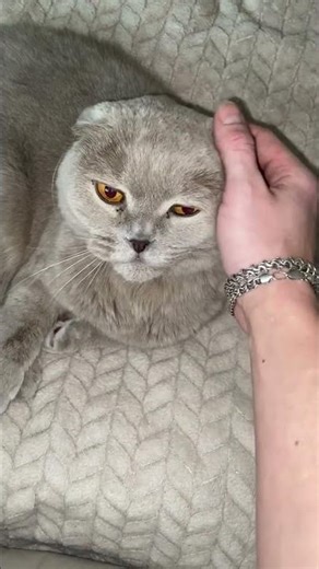 16 декабря 2025 г.